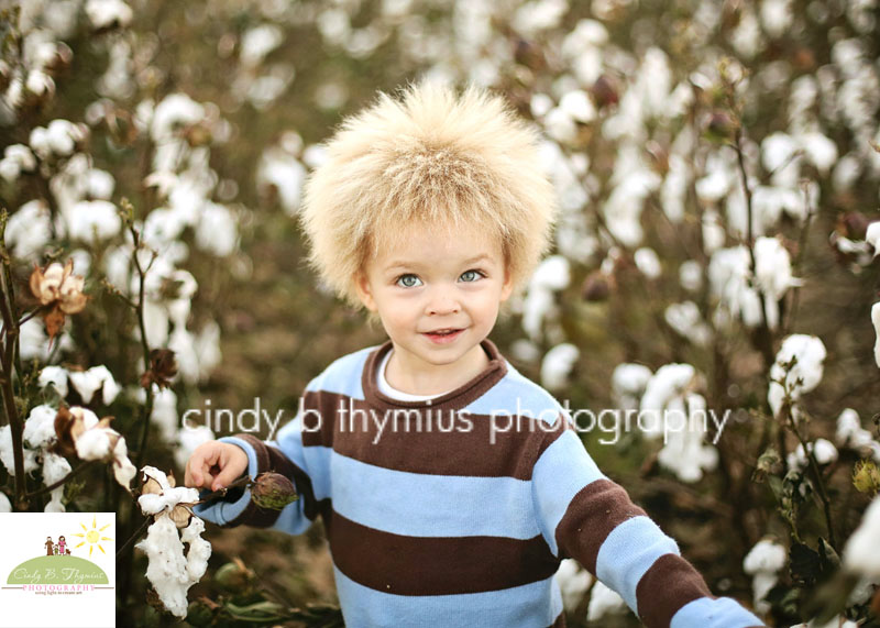 Memphis Cotton Field Photo Sessions Family Baby Children Portraits ...