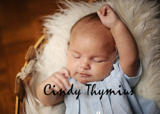 Memphis Baby Photographer On Location Cindy B Thymius Photography