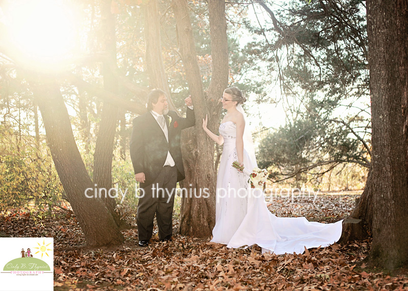 sunflare photo bride groom photo memphis tn