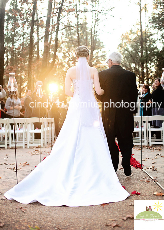 sunset portrait bride memphis tn wedding