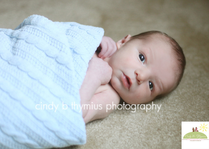 memphis baby photography