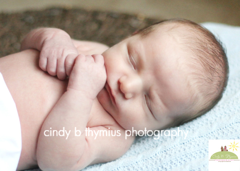 memphis infant photographer