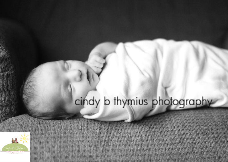 memphis infant photography
