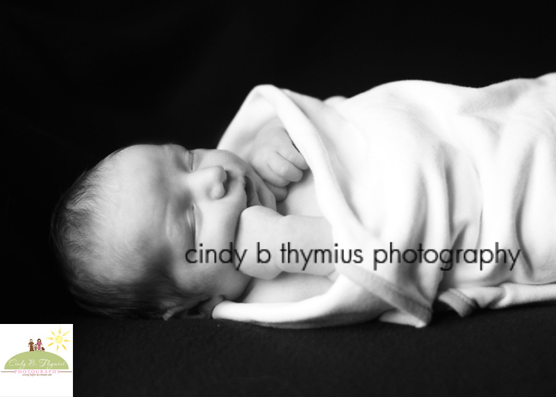 memphis newborn photography