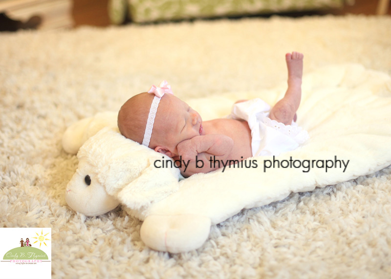 at home newborn sessions in memphis