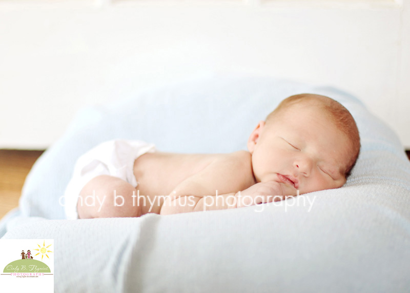 baby photographer memphis tn (2)