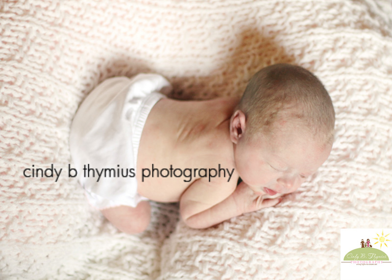 baby photography memphis tn