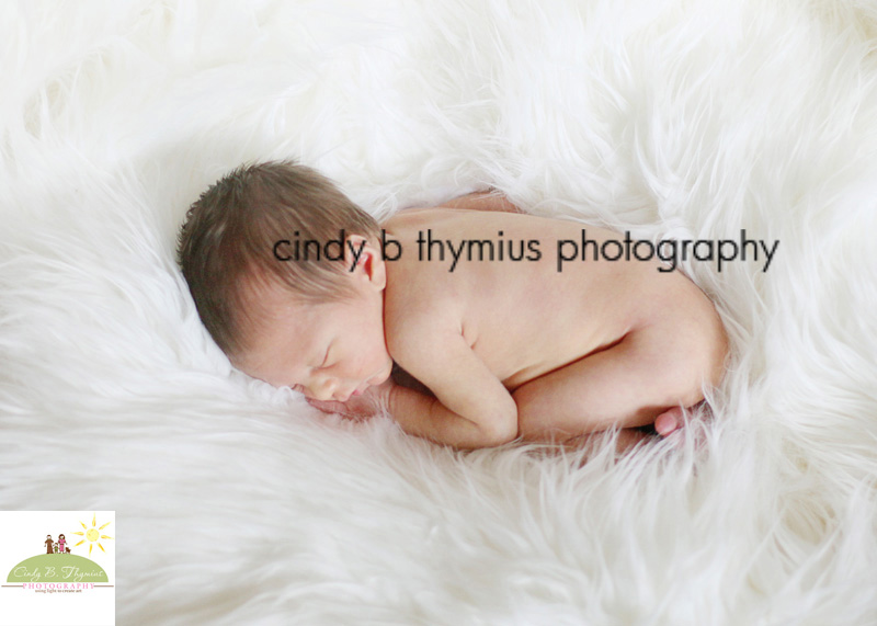 baby photography memphis