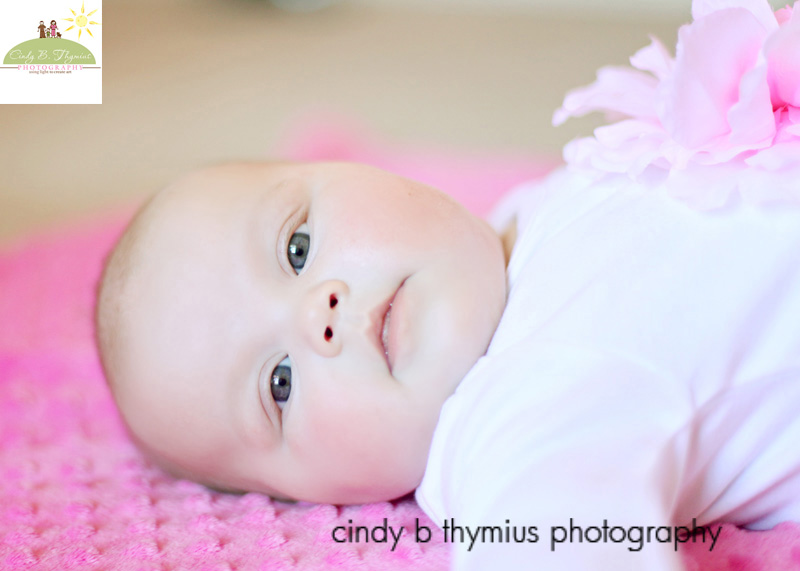 baby plan photographer memphis