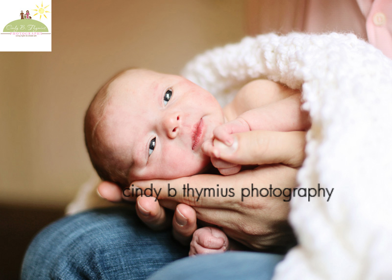 collierville baby photographer