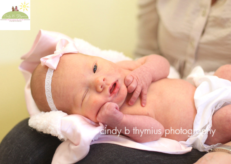 infant newborn photography memphis tn