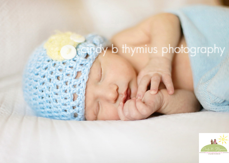 infant photographer memphis tn