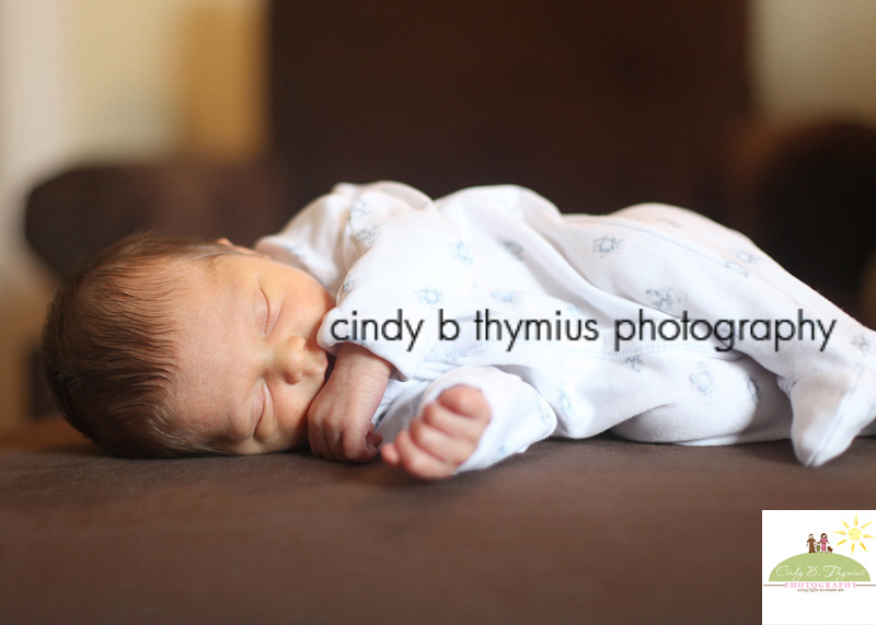 memphis baby photographer