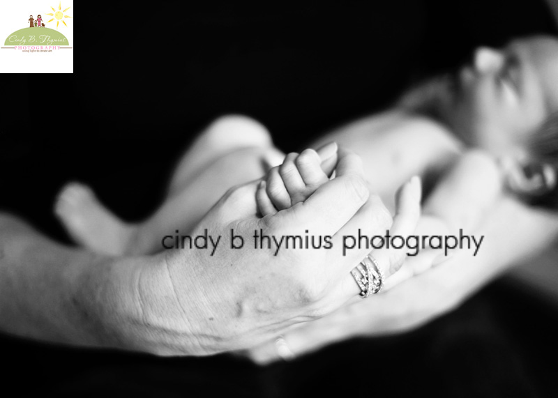 memphis baby photography