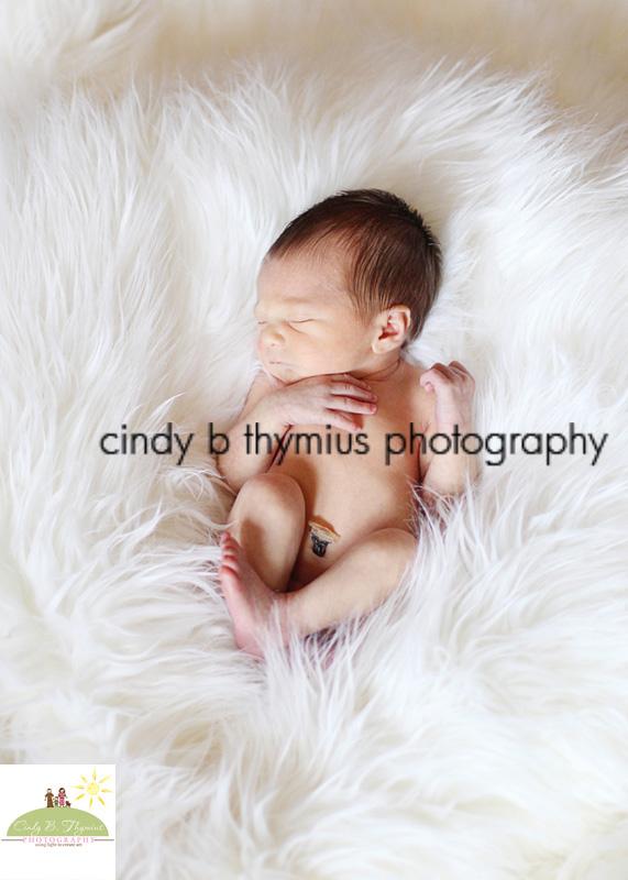memphis infant photographer