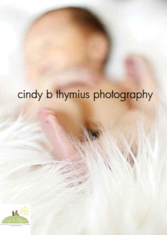 memphis infant photography