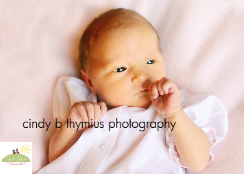 memphis newborn photographer
