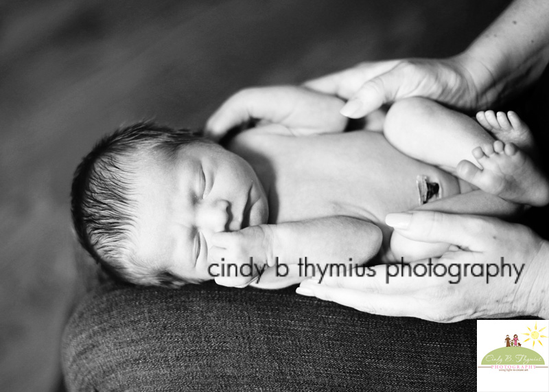 memphis newborn photographer