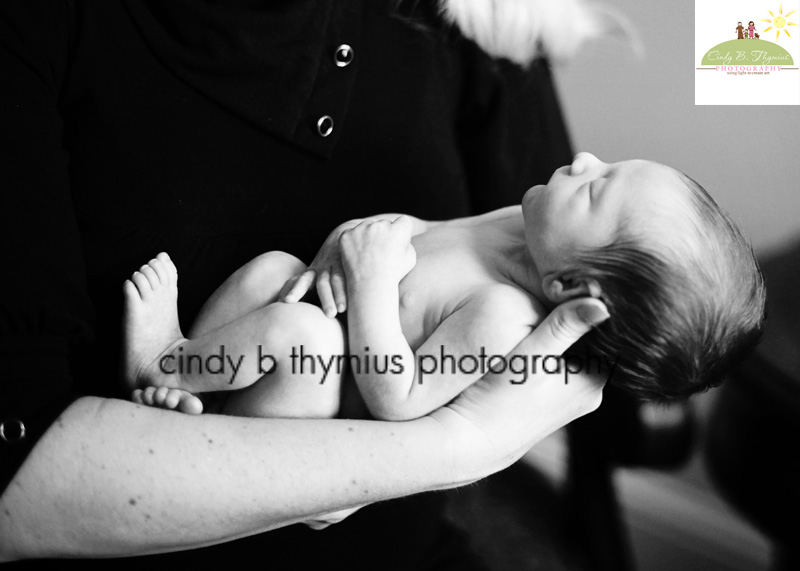 memphis newborn photography