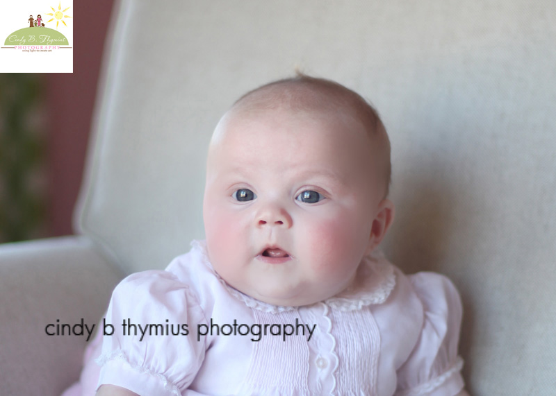milestone baby photographer memphis tn