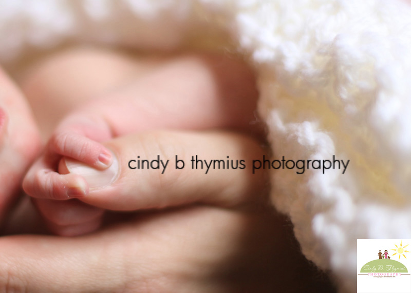 newborn photography memphis tn