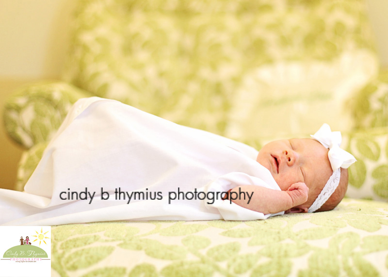 newborn portrait photographer memphis tn