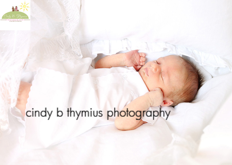 baby in basket in memphis newborn shoot