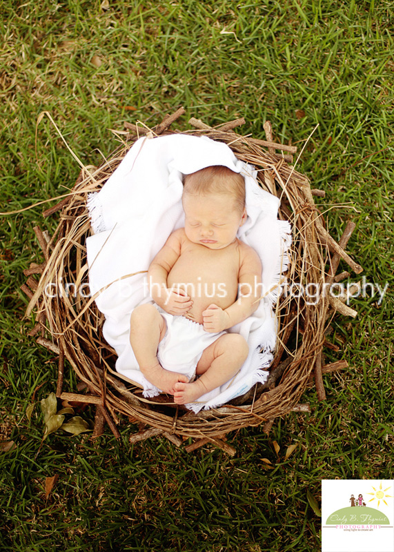 baby in bird's nest outside memphis home