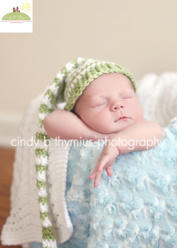 baby photographer in collierville