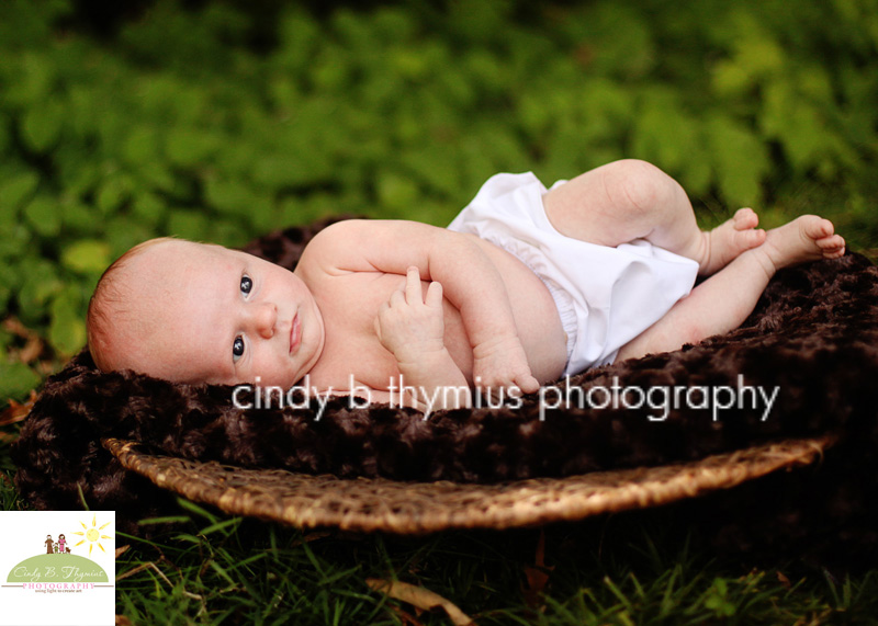 baby portrait on location memphis