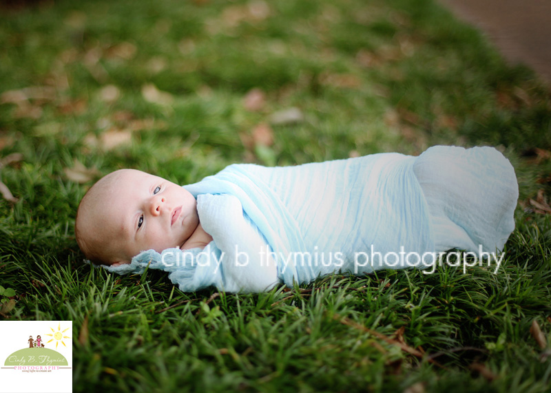 baby wrapped in blue memphis photographer