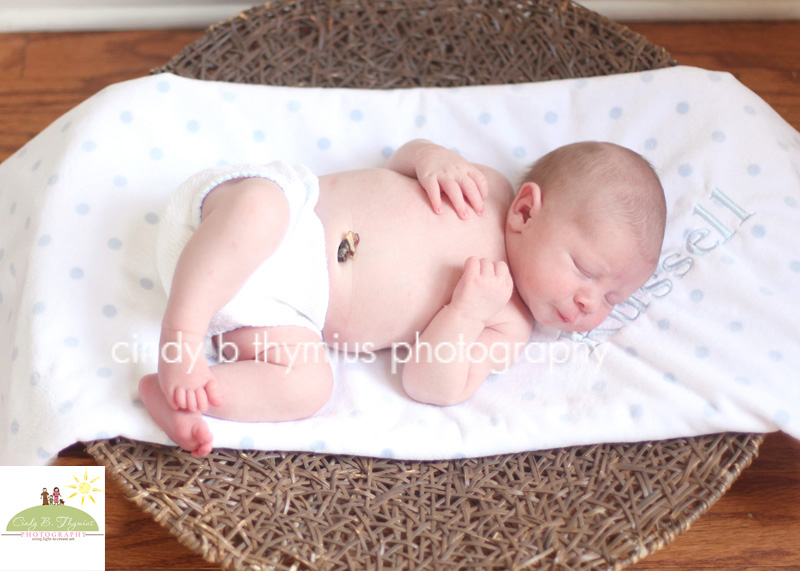 collierville baby photographer (2)