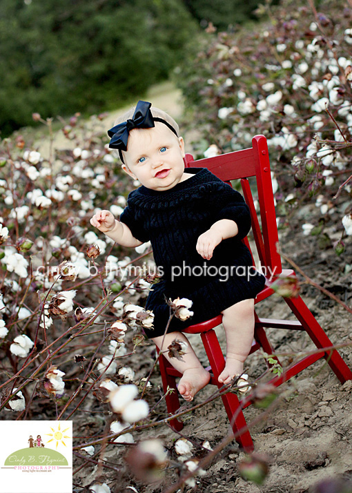 memphis cotton field photo session