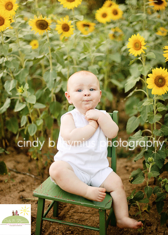 memphis sunflower portrait boy
