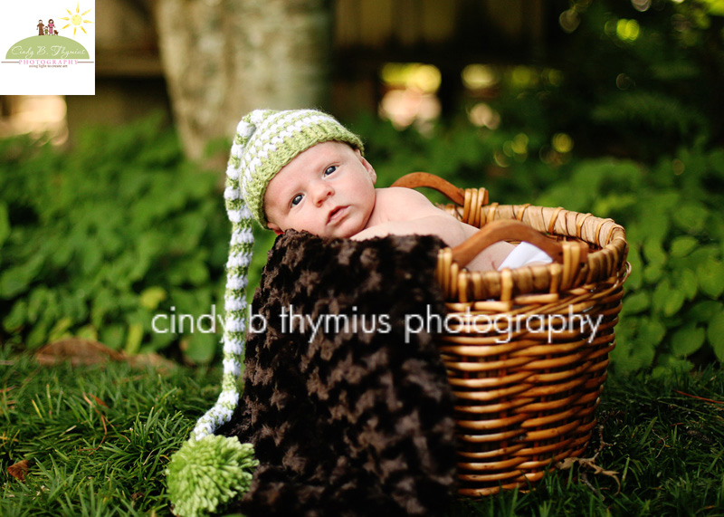 newborn photographer in gardens memphis