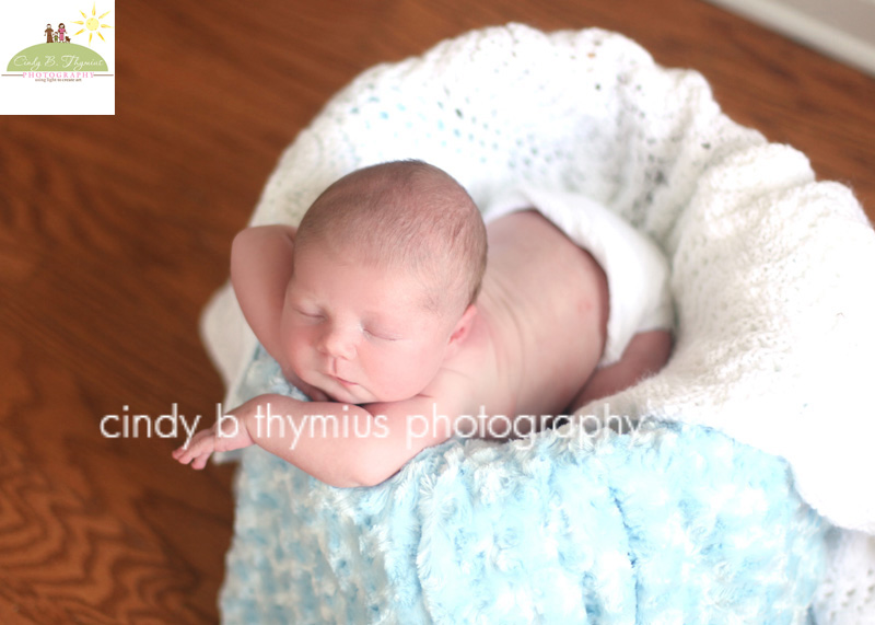 on location newborn session collierville