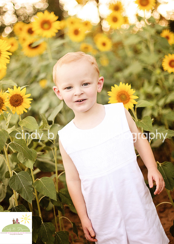 sunflower picture boy portrait memphis
