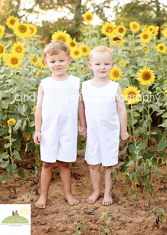 twin boys in sunflowers memphis tn