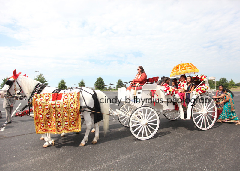 horse and carriage memphis indian wedding photographer