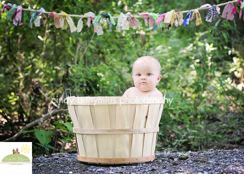 baby in basket in nature memphis