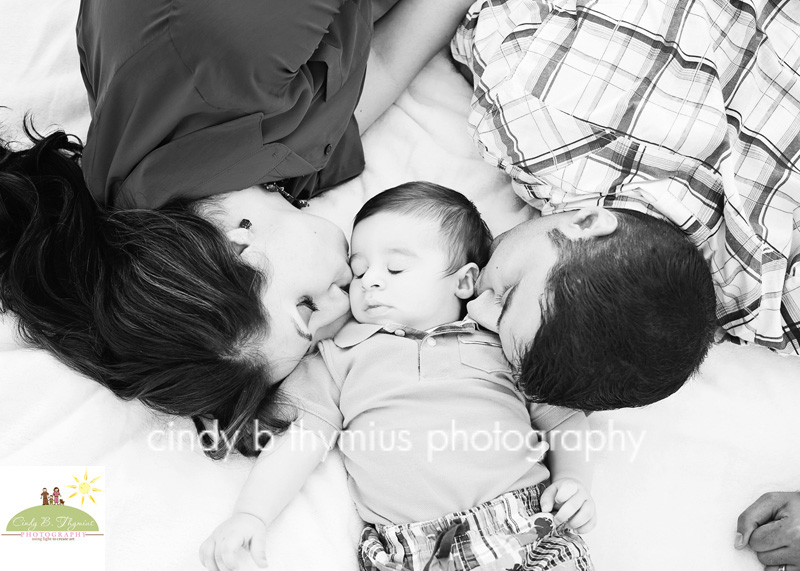 collierville family photography