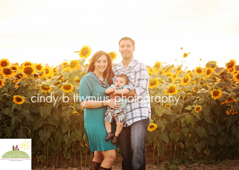 family pictures in memphis with sunflowers