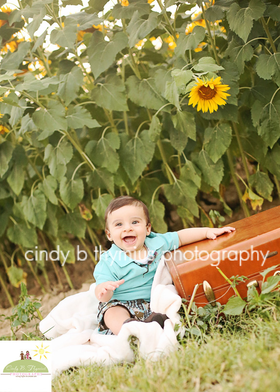 memphis baby with suitcase and sunflower