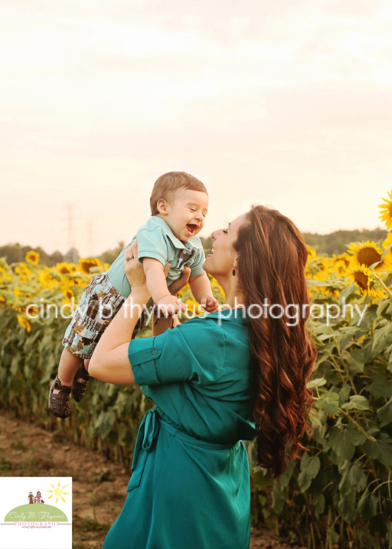 memphis tn sunflower picture sessions