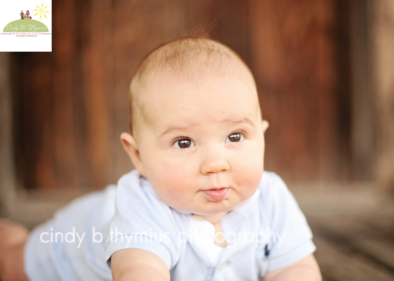 memphis toddler photography