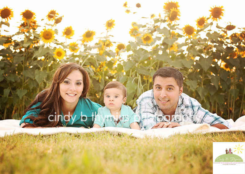 sunflower photography portraits in memphis
