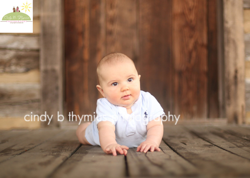 toddler photography collierville