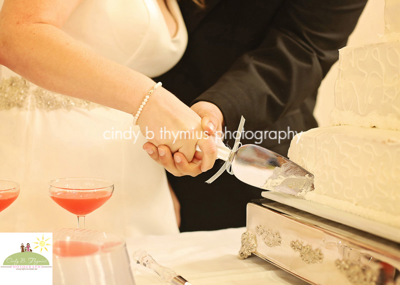 detail shot cake cutting memphis tn wedding