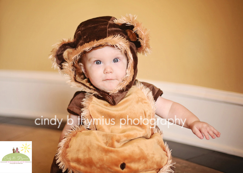 halloween portrait memphis baby photo