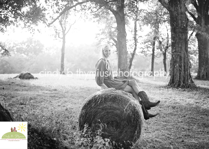 high school senior photos on hay bale memphis tn